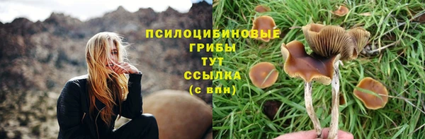 2c-b Арсеньев