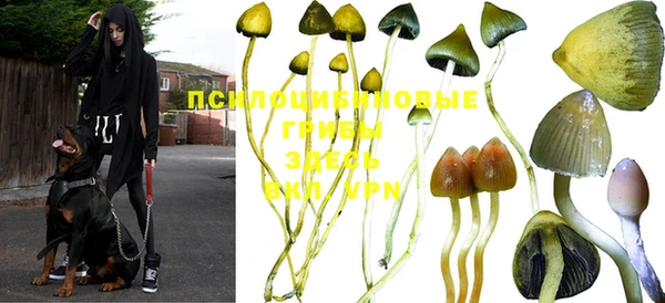 ешки Армянск
