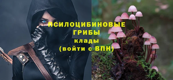 ALPHA-PVP Аркадак